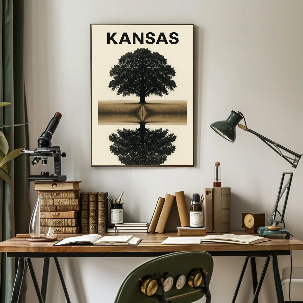 Kansas Reflection Poster
