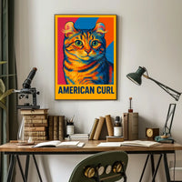 American Curl Poster