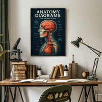 Anatomy Diagrams The Human Body Poster