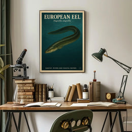 European Eel Anguilla Anguilla Poster