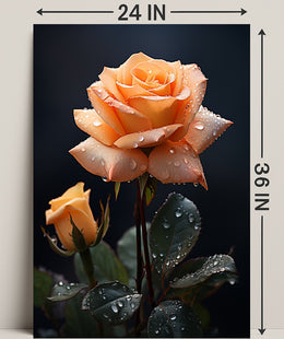 Dew-Kissed Rose Poster PosterGoat