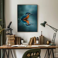 Kingfisher Bird Reflection Animal Poster PosterGoat
