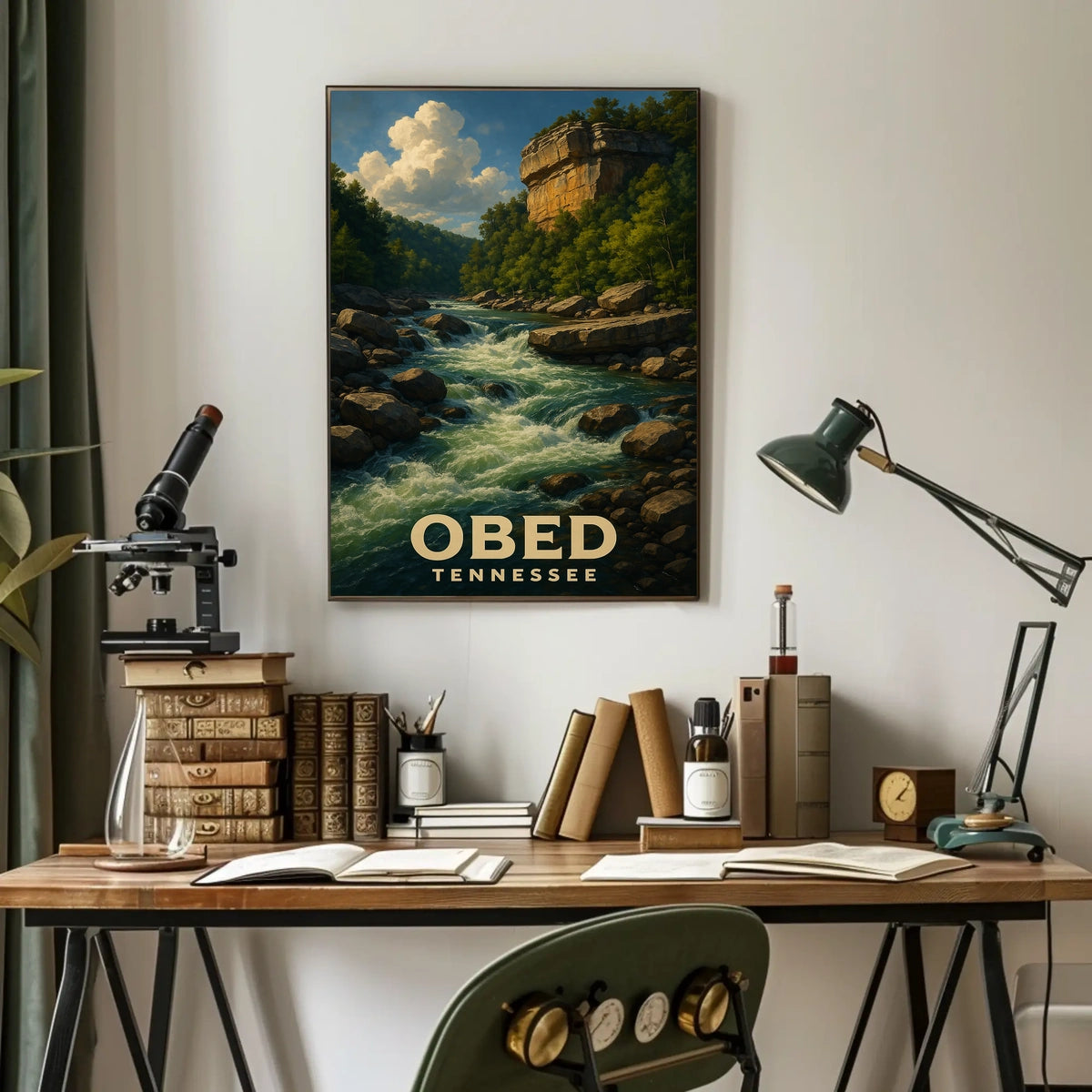 Obed River Tennessee Poster