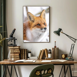 Red Fox in Winter Wonderland Animal Poster