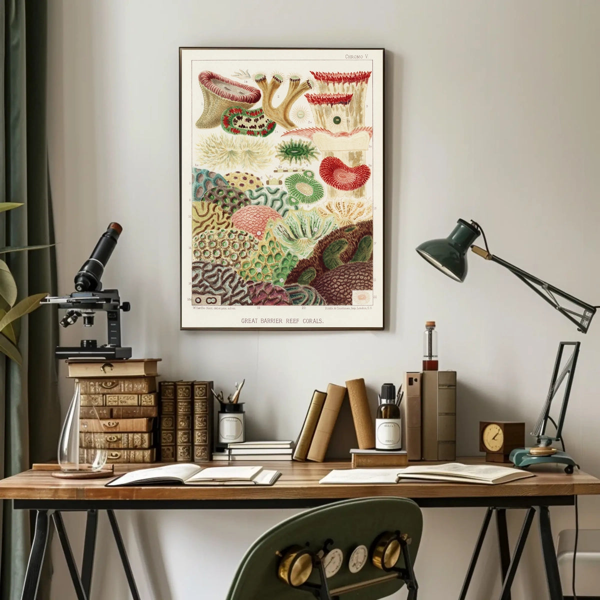 Great Barrier Reef Corals Poster