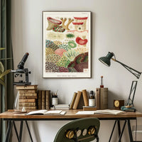 Great Barrier Reef Corals Poster