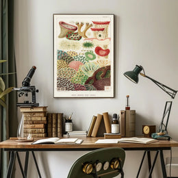 Great Barrier Reef Corals Poster