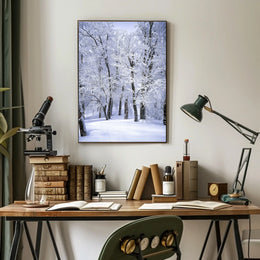 Winter Wonderland Poster