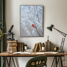 Winter Cardinal Poster