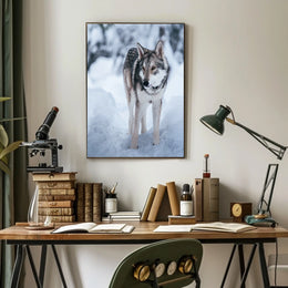Winter Wolf In The Snow Poster