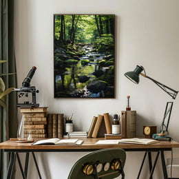 Tranquil Stream Through Lush Temperate Forest National Park Poster