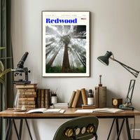Redwood National Park Scenic Poster Wall Art Print