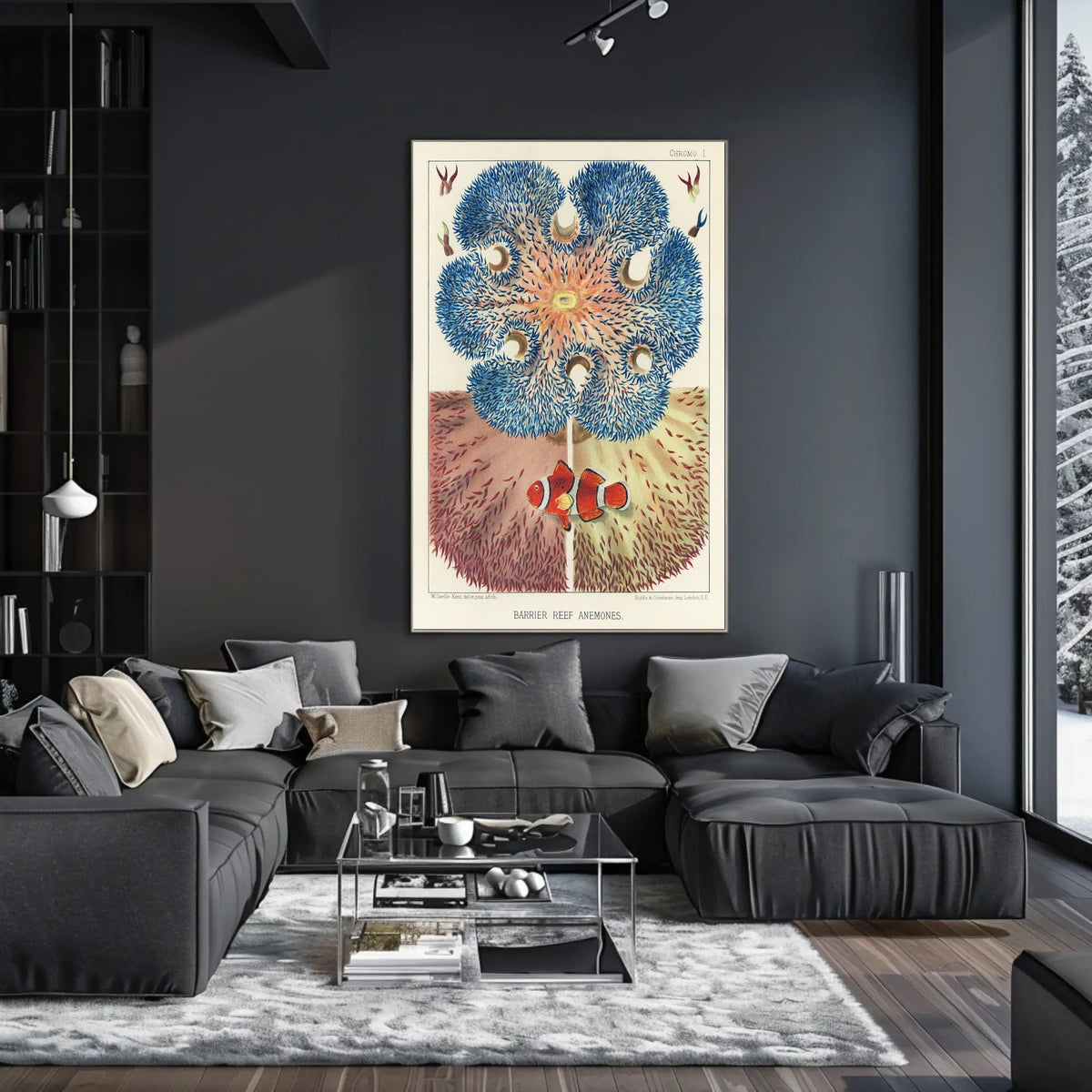 Barrier Reef Anemones Poster