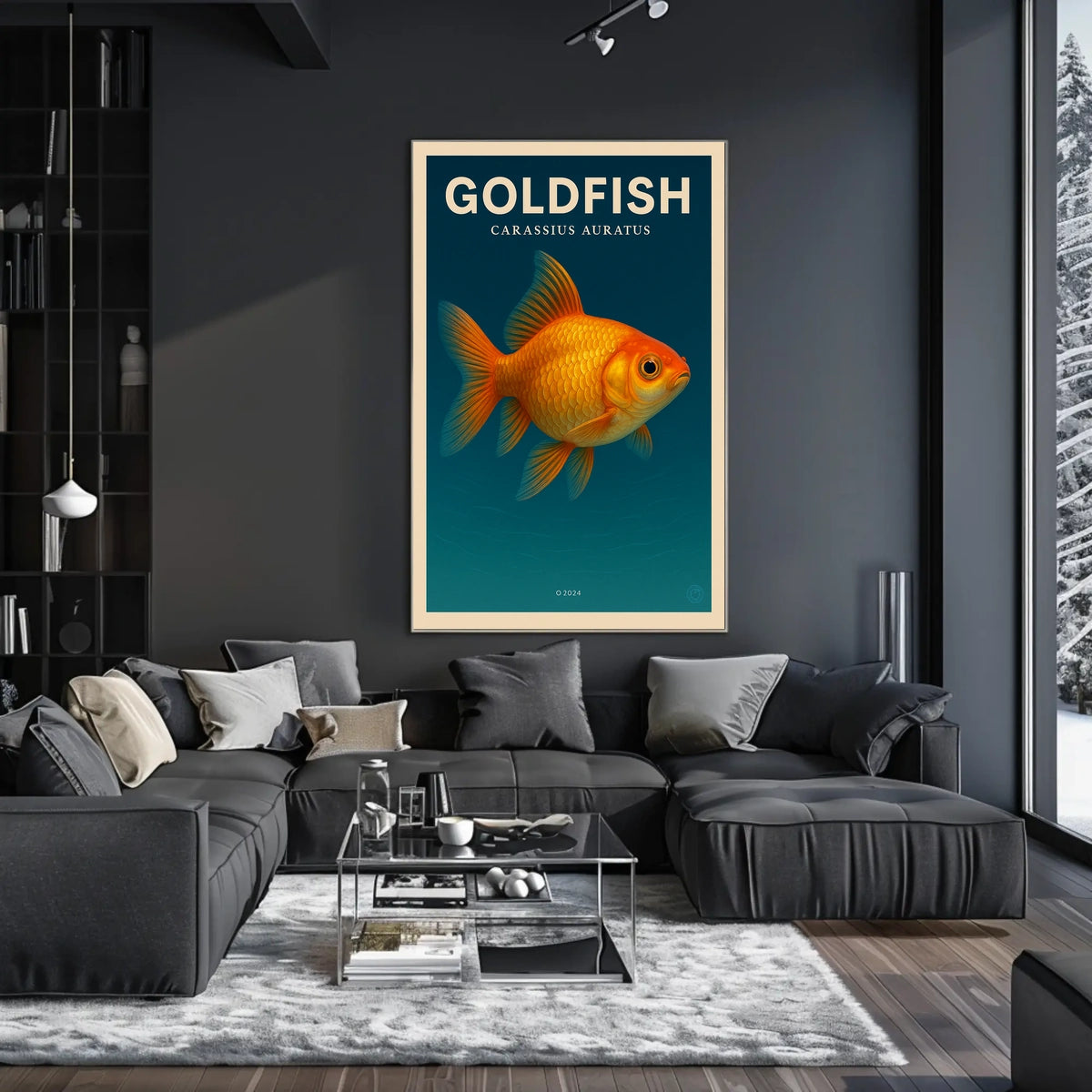 Goldfish Carassius Auratus Poster