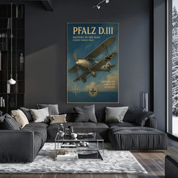 Pfalz D.III Mastery of the Skies Poster