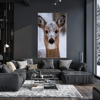 Winter Wonder Poster