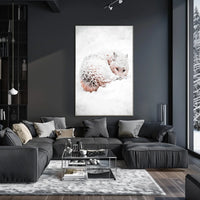 Snow-Covered Serenity Poster