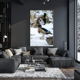 Winter Serenity Ducks In Snow Poster