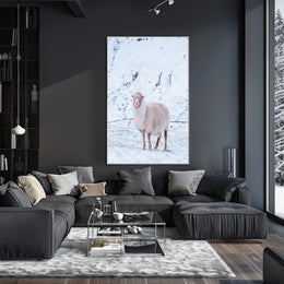 Winter Serenity A Lone Sheep Poster