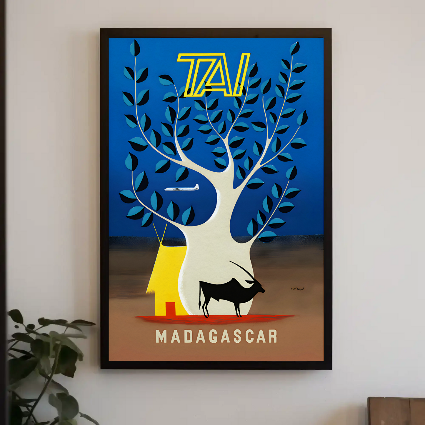 Fly TAI to Madagascar