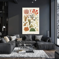 Great Barrier Reef Corals Poster