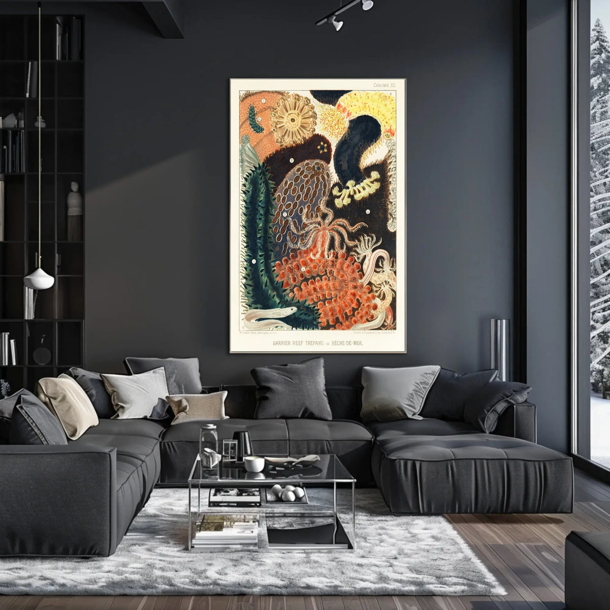 Barrier Reef Trepang Poster