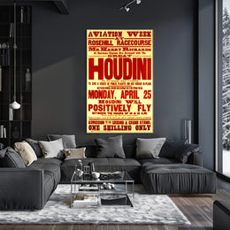 Houdini Aviation Show Vintage Cultural Heritage Poster