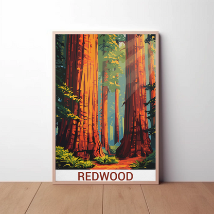 Redwood National Park California Forest Travel Poster