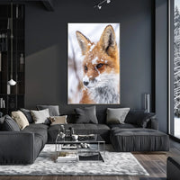 Winter Fox Poster