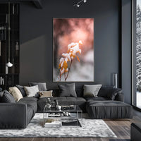 Snow-Kissed Autumn Leaves Poster