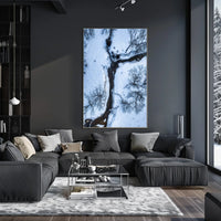 Winter Stream Aerial View Poster