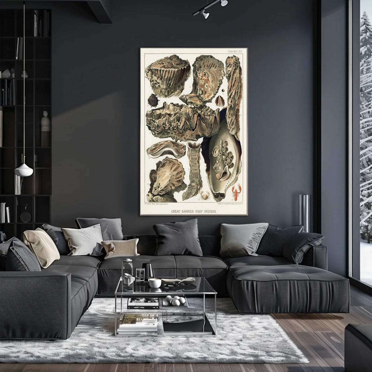 Great Barrier Reef Oysters Poster