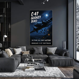 C-47 Gooney Bird Poster