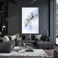 Winters Touch on Pine Poster