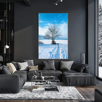 Winter Serenity Poster