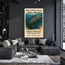Black White Beauty Zebra Moray Poster PosterGoat