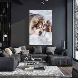 Winter Slumber Poster