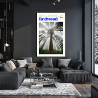Redwood National Park Scenic Poster Wall Art Print