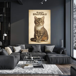 Exotic Shorthair Cat Portrait Photography Realism Poster