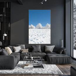 Winter Tranquility: Nature's Beauty in National Park Poster