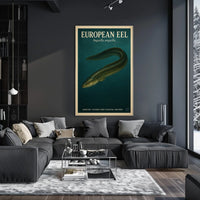 European Eel Anguilla Anguilla Poster