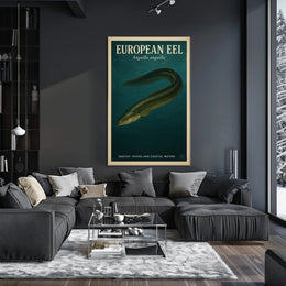 European Eel Anguilla Anguilla Poster