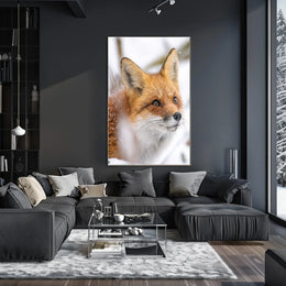 Red Fox in Winter Wonderland Animal Poster