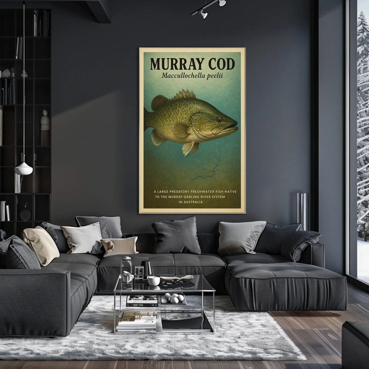 Murray Cod The Mighty Predator of Australia Poster