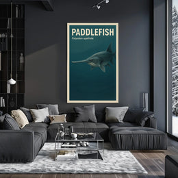 Paddlefish Polyodon spathula Poster