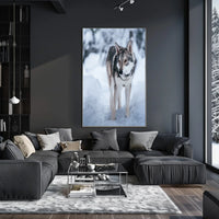 Winter Wolf In The Snow Poster