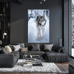 Winter Wolf In The Snow Poster