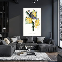 Exotic Bird on Banana Plant Poster