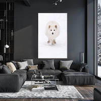 Arctic Fox In Motion Poster