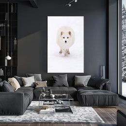 Arctic Fox In Motion Poster